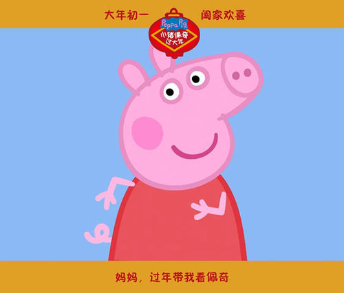 计算机资格证高仿版本